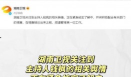 娱乐圈吃瓜爆料营销号,揭秘明星背后的秘密与真相