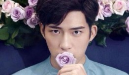 明星娱乐圈吃瓜节目推荐,明星幕后故事大起底